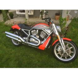 Harley-Davidson V-ROD VRSCR - 06 -06